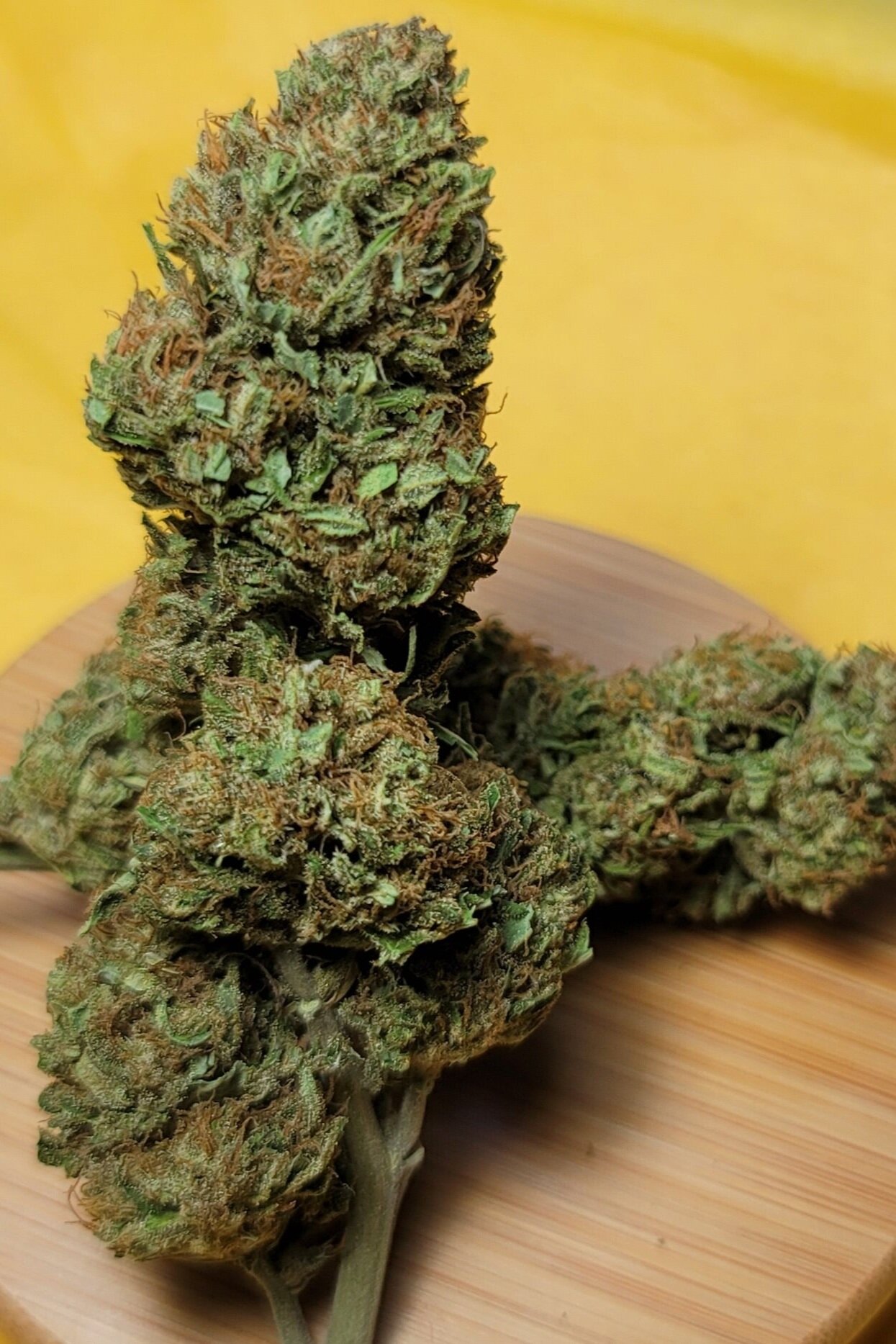 Flower — Daedalus Craft Cannabis